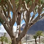 De Cactualdea