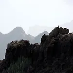 De Cactualdea San Nicolás
