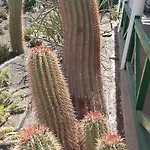 Semesterbostad De Cactualdea