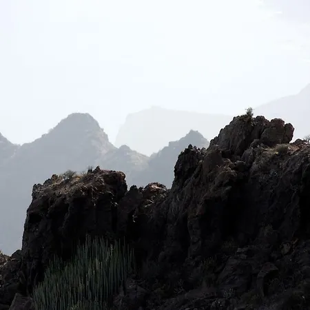 De Cactualdea 산니콜라스