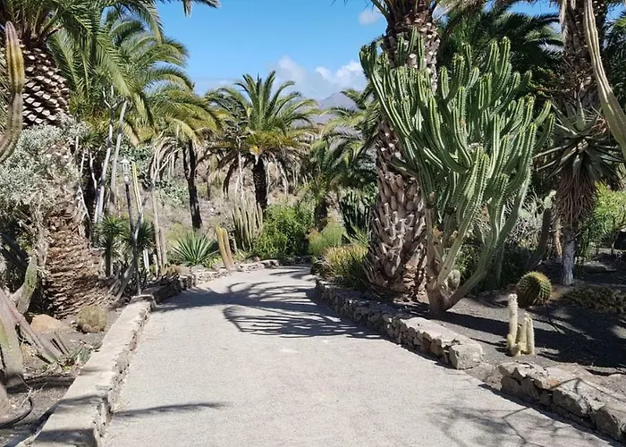 De Cactualdea 度假居 San Nicolás