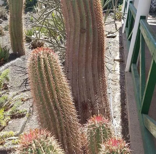 度假居 De Cactualdea