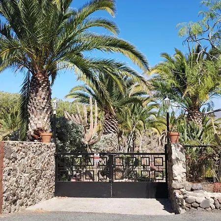 De Cactualdea San Nicolás