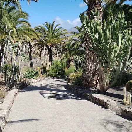 De Cactualdea 度假居 San Nicolás