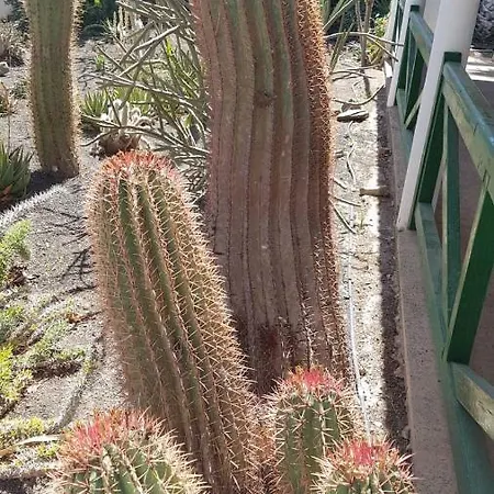 度假居 De Cactualdea